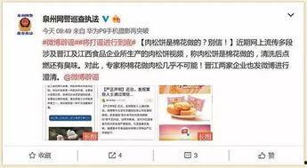 肉松饼爆料视频播放,揭秘网红美食背后的制作过程 第1张 肉松饼爆料视频播放,揭秘网红美食背后的制作过程 第1张