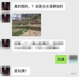 茂名真实爆料事件最新情况,揭开事件背后惊人真相 第1张 茂名真实爆料事件最新情况,揭开事件背后惊人真相 第1张